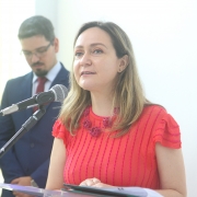 Subdefensora Pública para Assuntos Institucionais, Melissa Torres Silveira