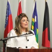 Deputada estadual Adriana Lara foi a proponente da homenagem 