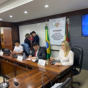 Defensora pública participa de audiência sobre as dificuldades no transporte público para pessoas com deficiência 