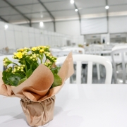 Na foto, em primeiro plano, há um vaso de flores amarelas. Ao fundo aparecem mesas e cadeiras brancas