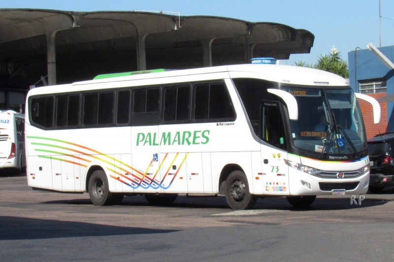 Foto geral de um ônibus branco escrito Palmares