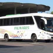 Foto geral de um ônibus branco escrito Palmares