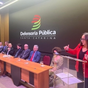 Foto geral da defensora pública palestrando