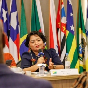 Em primeiro plano e desfocados, é possível ver a silhueta de duas pessoas. Entre elas, em segundo plano e focada na foto, há uma mulher sentada a uma mesa com um microfone. Atrás dela, há várias bandeiras não-hasteadas dos Estados do Brasil.