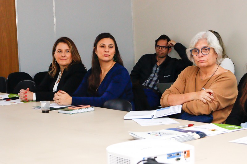 Foto geral da defensora pública na reunião