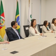 5 pessoas sentadas a uma mesa. Ao fundo, bandeiras não-hasteadas do Rio Grande do Sul, Brasil e Defensoria Pública.