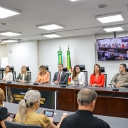 foto da mesa, com 9 participantes