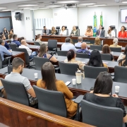 foto da mesa, de frente, composta por 10 pessoas, e o público de costas