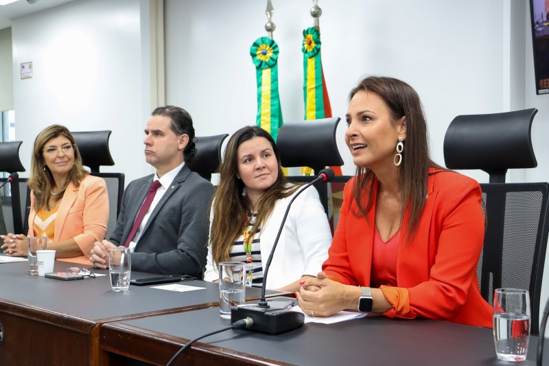 foto da defensora pública falando, onde aparecem outros 3 membros da mesa