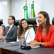 foto da defensora pública falando, onde aparecem outros 3 membros da mesa