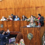 Autoridades acompanha discurso da deputada Stela Farias.