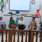 Defensora Reyjane de Oliveira Muniz palestrando em Câmara de Vereadores de Encruzilhada do Sul